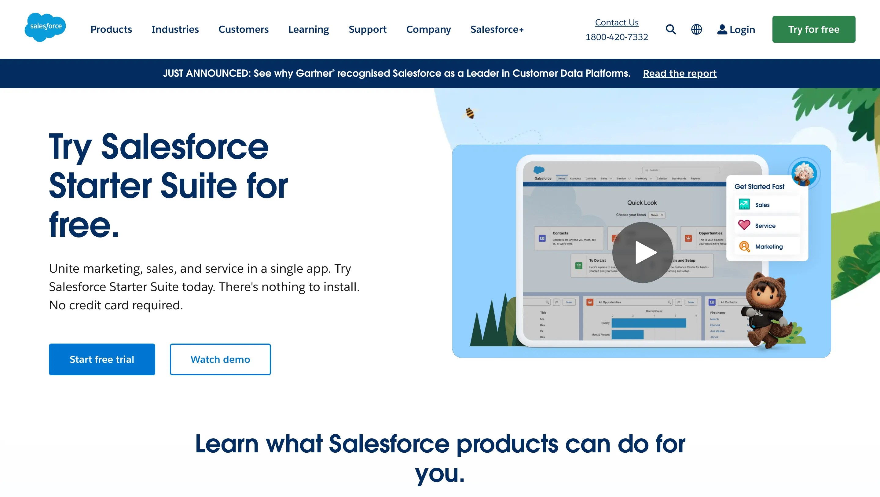 Salesforce For Customer Management -  Internal Tools
