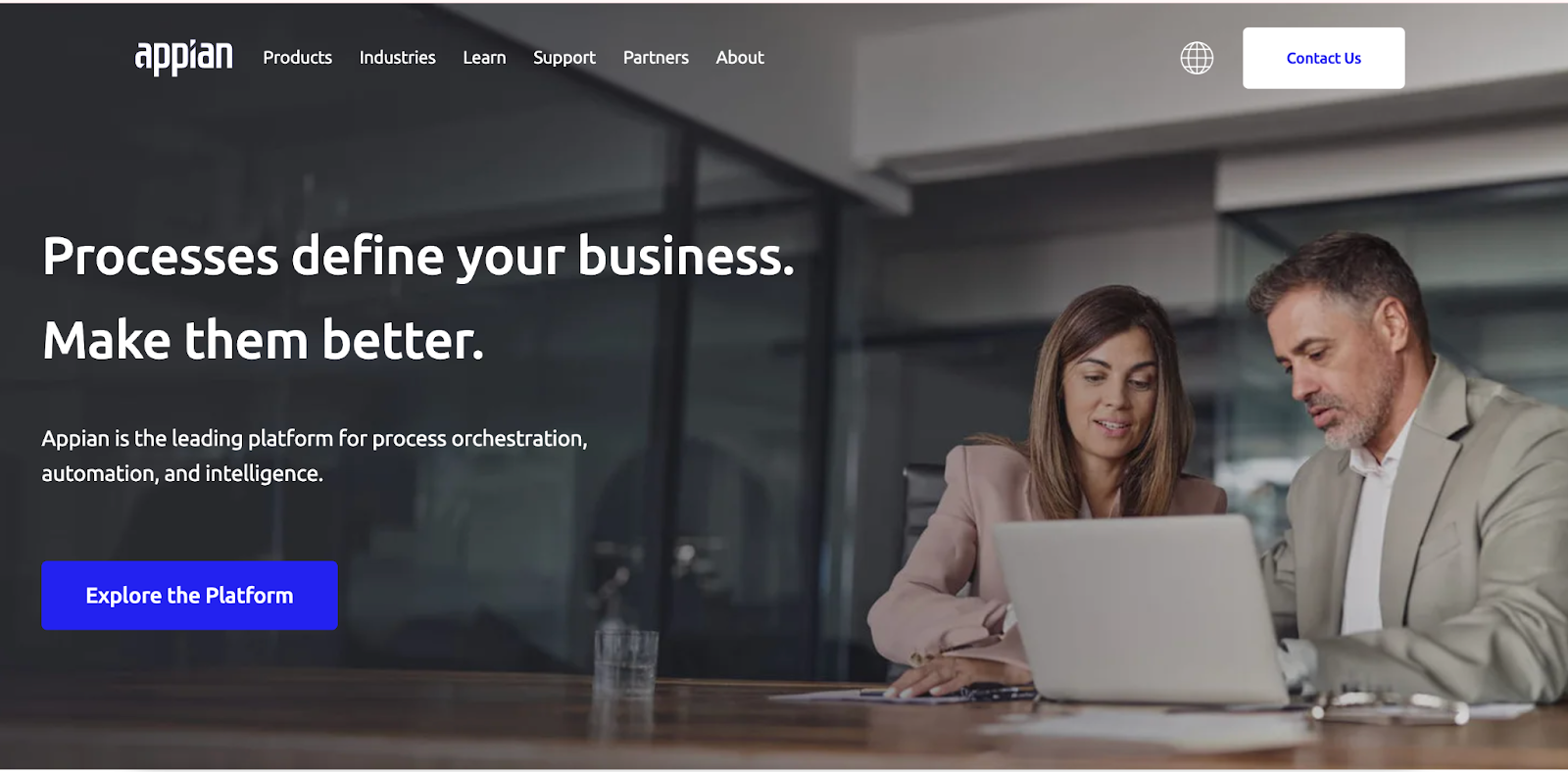 Top Rapid Application Tool - Appian