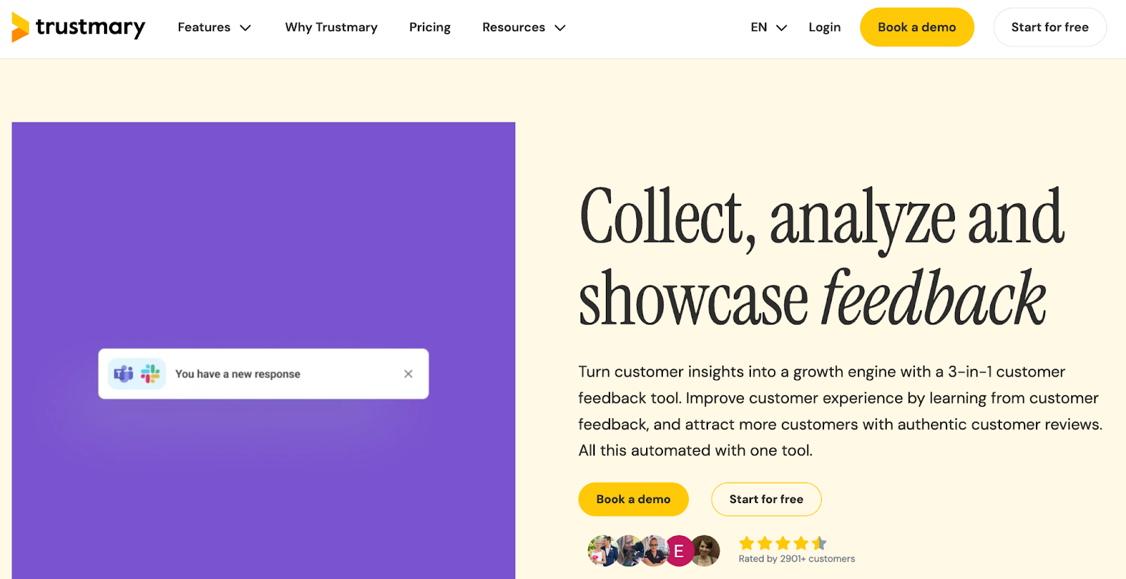 Customer feedback tools
