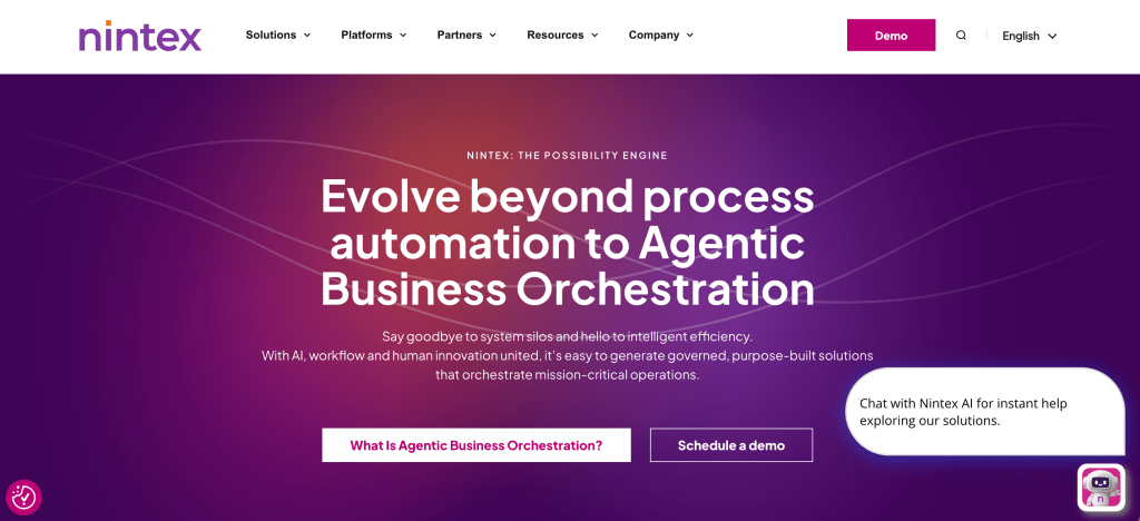 Nintex a low code platform